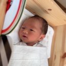 모아그린드라이방 | 제왕절개 출산가방 리스트 필수템 추천 겨울아기 병원 조리원 아기 준비물