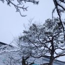 가야황토펜션 이미지