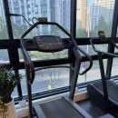 더블에스짐 | 다산헬스장 더블에스짐 1:1 개인 퍼스널 피티 한 달 후기