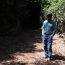 제주 셋알오름 일제동굴진지 이미지