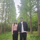 아이포토랜드 | [당진]아그로랜드 후기 포토스팟 가득한 목장데이트 추천(가격,주차,카페)