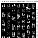 1126-1 도리깨 가(枷)/호깨나무 구(枸)/떡갈나무 포(枹)/노 예_도지개 설(枻)/나뭇잎 엽(枼)/감나무 시(枾) 이미지