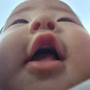 이번 달 업데이트: 퇴사 완료