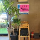 성산의 아침 | 제주 성산봄죽칼국수 성산점 후기｜아침 든든 + 오션뷰 사진 맛집