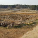 통일로 금촌농장 이미지