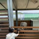 도희농장 이미지