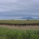 다대포해수욕장역 이미지