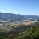 삼기 괴소 이미지