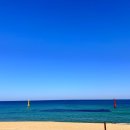 레일바이크 이미지