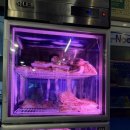 평촌연탄집 이미지