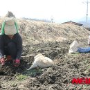 (주)들녘 이미지