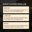 논산 탑정호카페 초서, 감성 가득 야외 정원에서 여유로운 시간 보내기