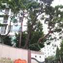 성산2차e편한세상아파트 이미지