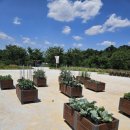 쌀문화전시관 | 이천농업테마공원 쌀문화전시관, 이천 아기랑 가볼만한 곳