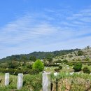 효자공원봉안당 이미지