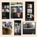 야탑중학교 이미지