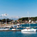 장사어촌체험마을 이미지