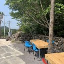 비자림라파 이미지