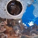 성포예술광장 주차장 이미지