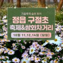 [테마2025년 10월 11일 토요일]슬로우 투어...정읍 옥정호 &amp;붕어섬 출렁다리+구절초 축제장 트레킹 안내 이미지