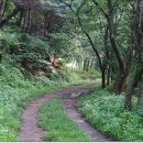 천마산약수터 이미지