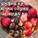 갈매광장_애비뉴거리 | [메가커피 구리갈매점]요거 젤라또 초보 케리 믹스 내돈 내산 솔직 후기 : 가성비 디저트, 아이스크림...