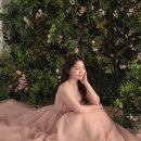 도그헬퍼 | 💍광주 그리프 스튜디오 후기