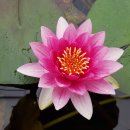 고기연구소 이미지