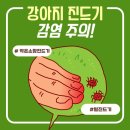 프리독스 이미지