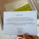 스테이 경화 이미지