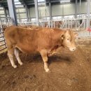 경기도축산진흥센터 이미지