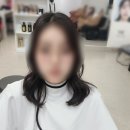 레드컷헤어샾