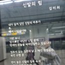 불교환경연대ㅡ후쿠시마 탈핵 14주년 추모기도 5대종교 환경연합 함께하다 이미지