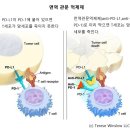 코로나19 백신의 암 치료 효과 이미지