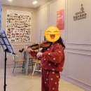 라라스즈키바이올린