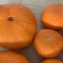 진홍농장 이미지