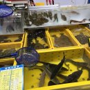 보성상회수산 이미지