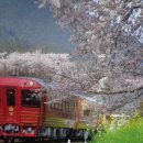 모네의정원 이미지