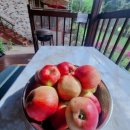 더플라워펜션 이미지