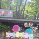 시흥대로40길 네이버블로그