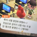 개온 | 여름이 끝나는 소리가 나