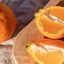 거기농장 이미지