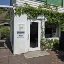 남해의숲 | 남해 독일마을 근처 커피 맛집ㅣ아담한 남해의 숲 카페 방문 솔직 후기