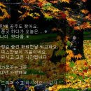강지풀 이미지