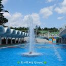 (주)동해보양온천컨벤션호텔 수영장 이미지