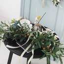 올리브조화 이미지