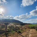 백순농장 이미지