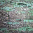 산양마을(주) 이미지