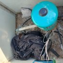 이수야 농장 | 금산 제원면 구억리 농장 지하수 관정 수도계량기 설치 작업