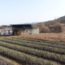 가람부동산중개사무소 이미지